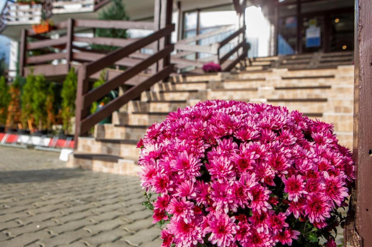 Hotel La Dolce Vita Zărneşti Extérieur photo